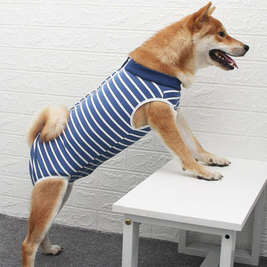 Product Description Material: Cotton + Spandex Size: 3XL Color: blue and white stripes Quantity: 1 piece Package content: 1*dog clothes