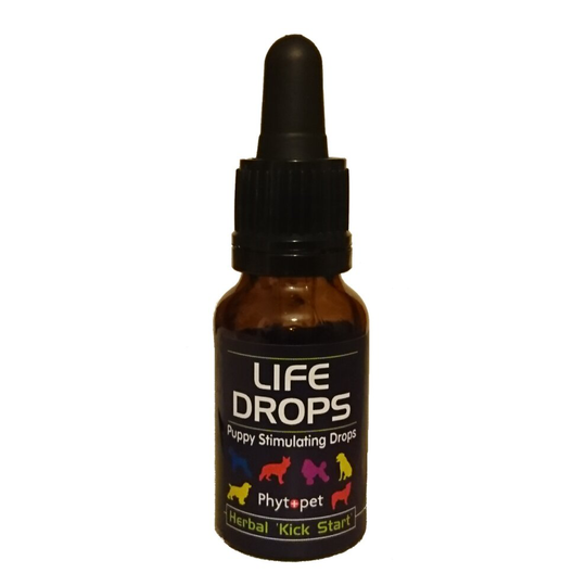 Phytopet Puppy Stimulating Life Drops 10ml herbal kick start whelping