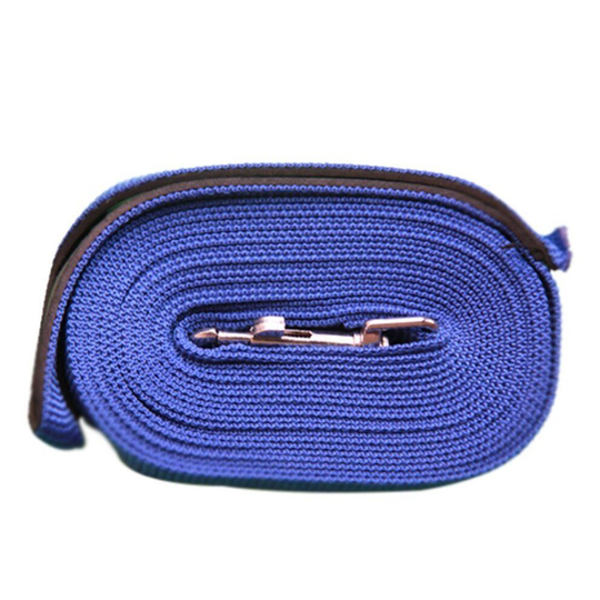 (Blue) Dog Lead Puppy Training Recall Walk Long Leash 5m