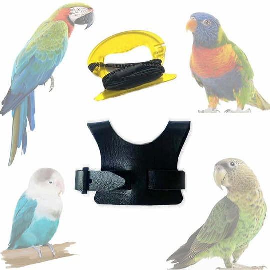 Peony Xuanfeng Small Sun Parrot Flying Vest Traction Rope Walking Bird Strap Rope Out Traction Rope Bending Rope m red