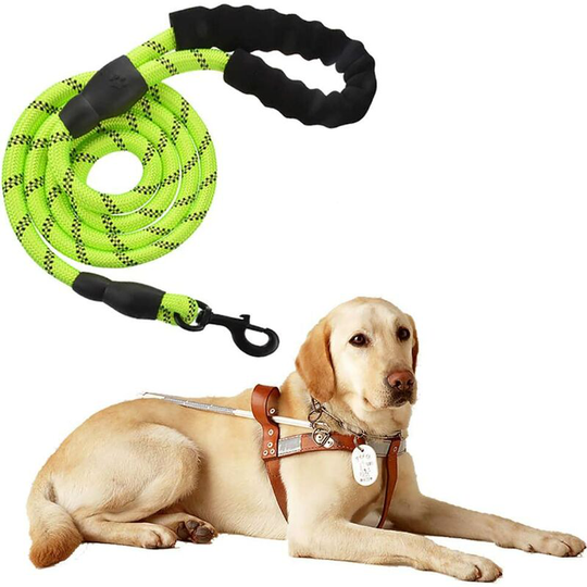 Denuotop - High quality black reflective 150 cm solid adjustable nylon dog leash for large or medium dogs Suitable for jogging hiking (green)