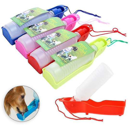Red Dog Water Bottle