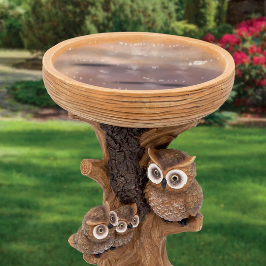 Owl Bird Bath