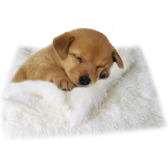 Litzee - Soft Dog Blanket Fleece Washable Cat Carpet XH025 (l, White)