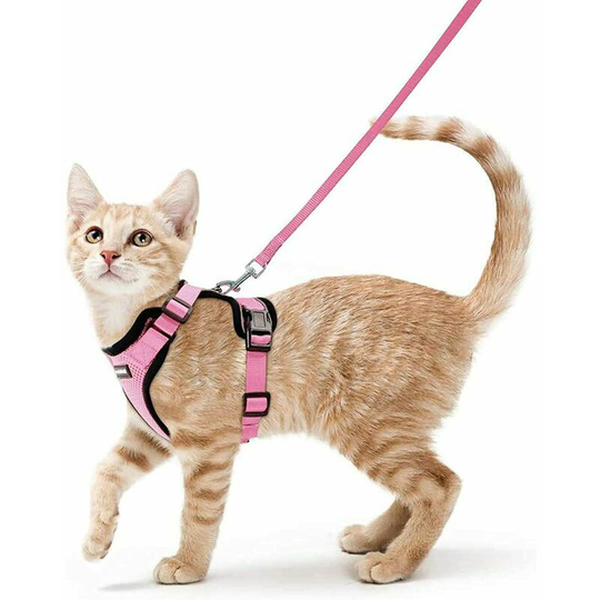 Cat Harness Small Dog Leash Adjustable Kitten Harness Pink xs Reflective Cat Harness Collar Breathable Vest for Rabbit, European Cat, Maine Coon,