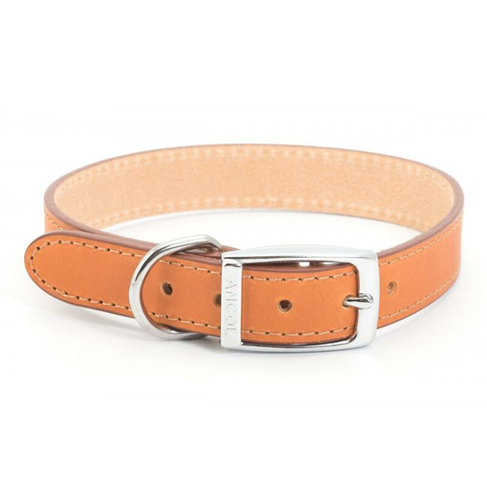 Leather Dog Collar (12 Inch) (Tan) - Tan - Ancol