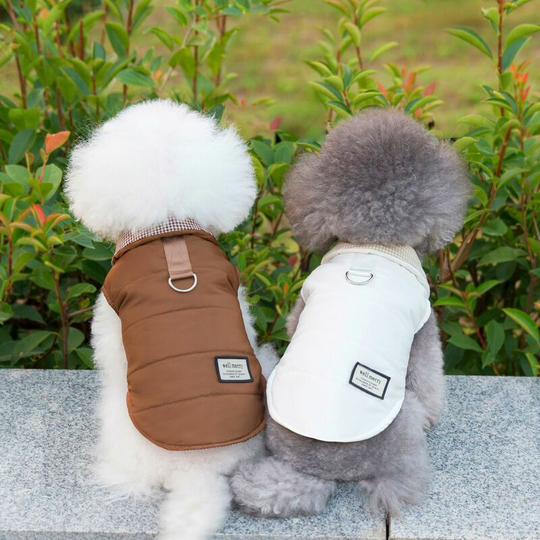 2 pcs dog pet clothing Autumn and winter double-sided cotton padded vest Bibear teddy dog clothing 23 * 32 * 20cm