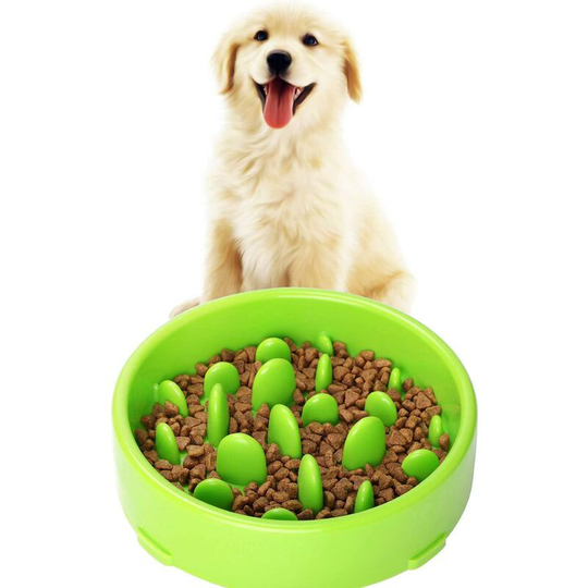Denuotop - Slow Feeding Dog Bowl, Slow Feeding non-slip design fun interactive feeding bowl for cats and dogs, promotes healthy feeding and slow
