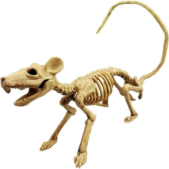 Betterlifegb - Halloween Rat Skeleton Rat Plastic Skeleton Skeleton Simulator Skeleton Decoration for Halloween Horror Decoration