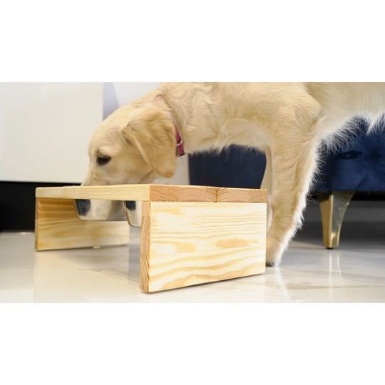 Dumont Elevated Feeder