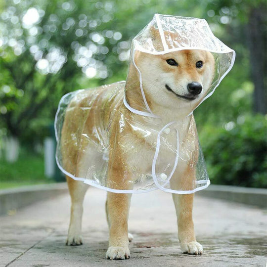 Manteau imperméable pour chiens de petite taille et chats, avec capuche, réglable, en pvc, transparent, et ultra-léger(L)