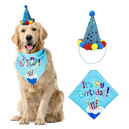 Muff - Pet Birthday Party Hat Birthday Banner blue b