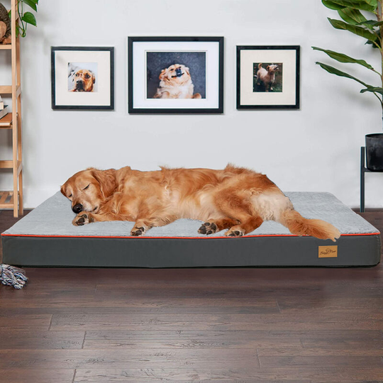 Tremendous Waterproof Dog Bed Kennel Thick Foam Fur Mattress Pet Sponge Cushion, Medium (80 x 50 x 8 cm)