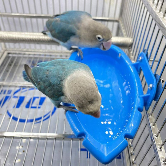 Bird Bath Bird Cage Accessories Basin Parrot Cage Hanging Bath Box Bird Baths Bath Bowl, Multi-function Bath/Feeding Bowl 18×10×4cm
