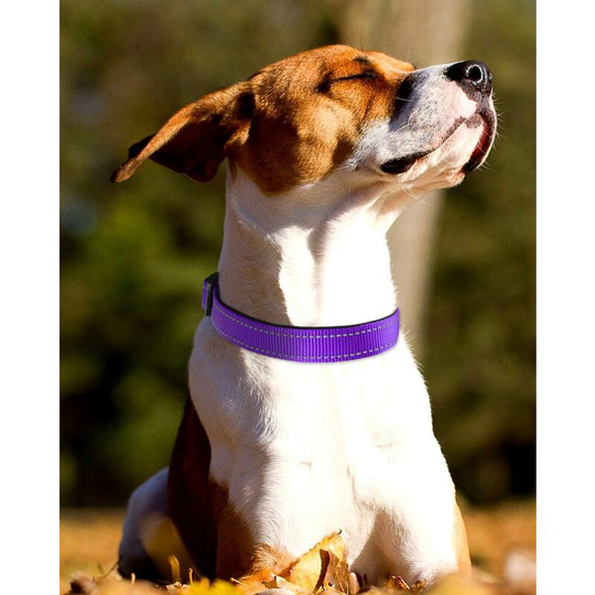 Reflective Dog Collar, Adjustable Soft Neoprene Padded Breathable Nylon Dog Collar for Small, Medium and Large Dogs Adjustable Breathable Nylon Dog