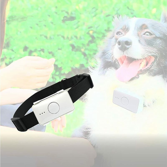 Pet Tracker with Collar Pet GPS Tracker for Dogs Anti Lost Dog Tracker Locator Dog GPS Collar Tracking Device