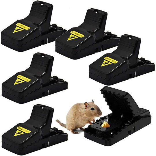 Mouse Trap, Set of 6 Professional Mouse Traps, Mouse Traps, Reusable Mouse Traps, Professional Mouse Traps in Home and Garden_ Thsinde