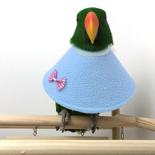 Bird Cloak Parrot Protection Cone Neck Recovery Collar Birds Elizabethan Collar(Blue,M)
