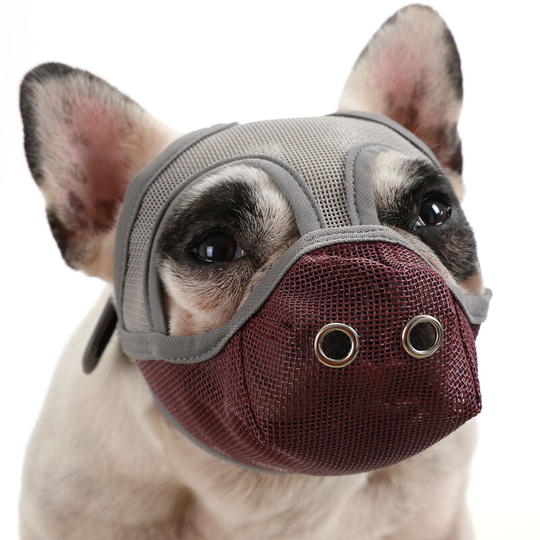 Dog Muzzle Breathable Mesh for Short Snout Dogs Prevent Biting Barking, Grey Burgundy&Medium - Grey Burgundy&Medium