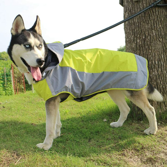 Heguyey - Waterproof Coats Dogs Rainproof Snow Jacket Winter Reflective Jacket for Hiking Travel Mountain Green l