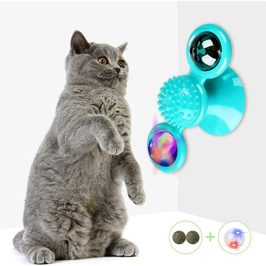 Cat Bowl Set, Cat Feeding Bowls, Non-Slip Stainless Steel Cat Bowls, Cat Feeding Bowls, Cat Feeding Bowls, Sloping Dog Bowls, Puppy Cat Bowl Set,