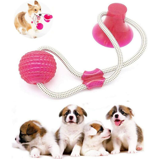 Perle Raregb - Pet Molar Bite Toy , Ball with Suction Cup Dog Toy Multifunctional Ball and Suction Cup Pet Molar Toy Multifunctional Molar Dog Toy