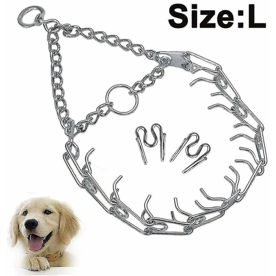 Dog training collar with chrome steel quick release buckle