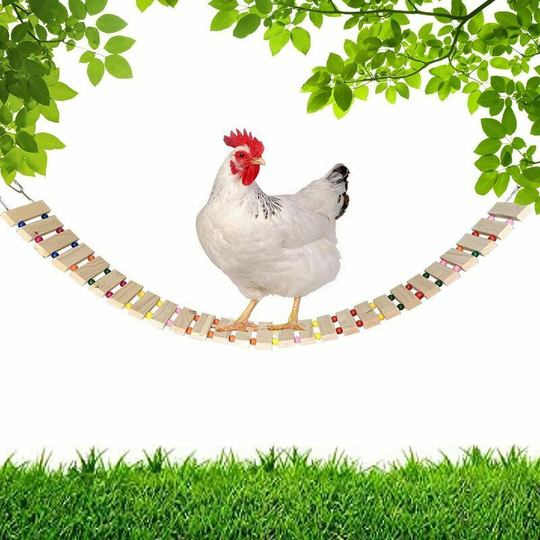 Briday - Chicken Rocking Toys, Scale Chicken Swing Chicken Perch
