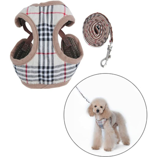 Small Dog Harness and Leads - Litzee