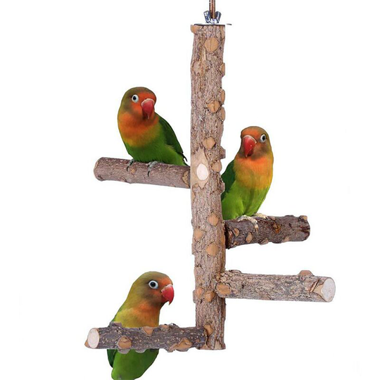 Perle Raregb - Parrot holder, parrot toy, bite toy, pepper wood, activity support