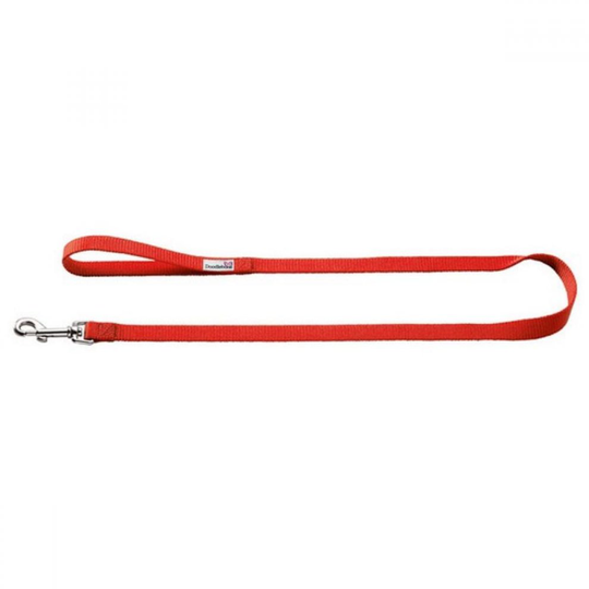 (2.5cm x 1.3m, Red) Doodlebone Bold Nylon Dog Lead