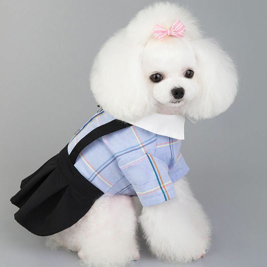 Pet clothing spring and summer new dog clothes couple m (chest 37', neck 26', back 25' suitable for weight 5 pounds), blue dress)