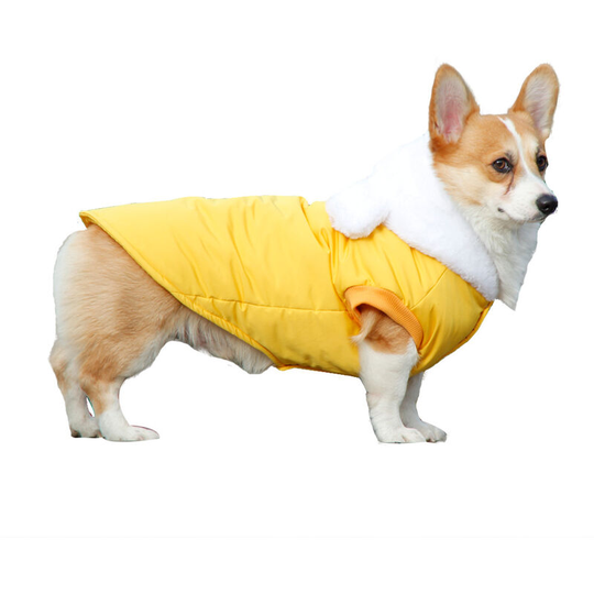 Snow weather wet pet cotton coat cute teddy fight corgi winter coat thick warm hook coat 38*35*50cm