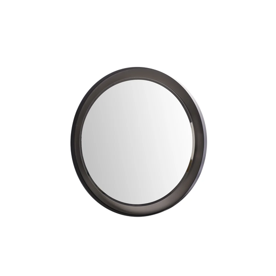 Easha Round Metal Framed Wall Mounted Accent Mirror in Black and Silver