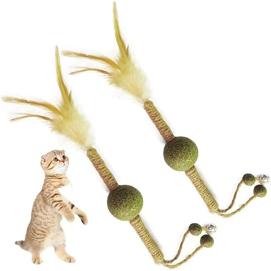 2 Packs Catnip Molar Sticks, Indoor Interactive Cat Chew Toy Cleaning Cat Teeth Relieve Boredom Feather Toy Funny Cat Stick