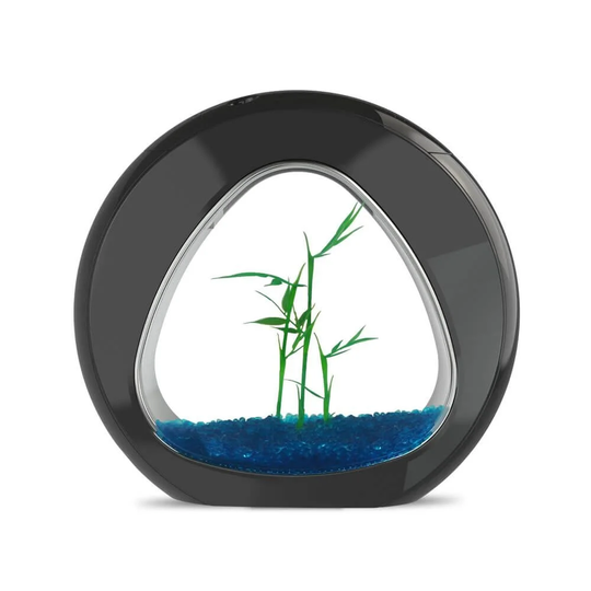 Arlie Aquarium Tank