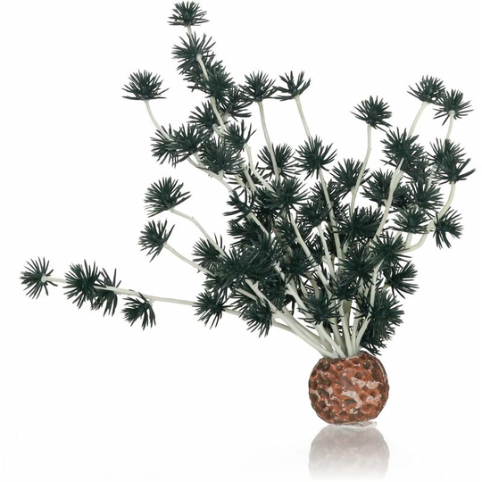 Biorb - Oase Aquarium Decoration Bonsai Ball Black