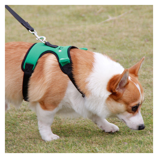 Frog leash pet mesh cloth breathable small dog chest back retractable dog leash pet strap 12-15 kg