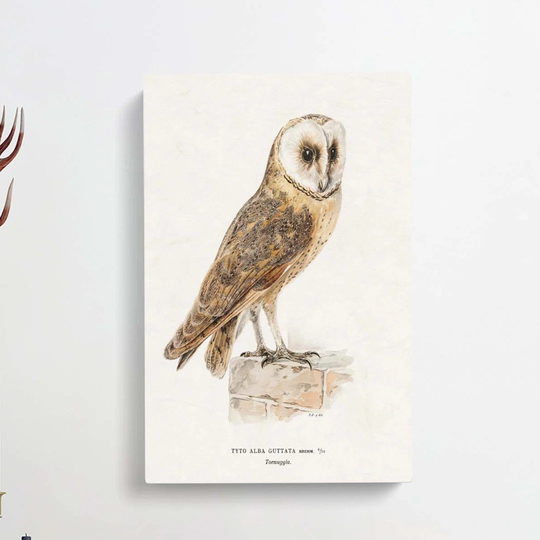 Perched Owl - Wrapped Canvas Graphic Art Print