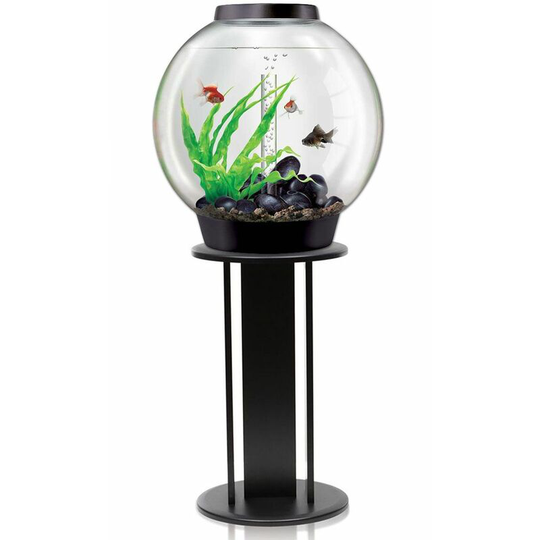 Biorb - Classic 30L Aquarium in Black with Standard led Lighting and Black Stand