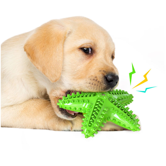 Deckon - Dog Chew Toys Resistant Rubber 13 Inch Bone Shaped Dog Toy Puppies with Convex Design Solid Interactive Dog Toy for Aggressive Chewers Small