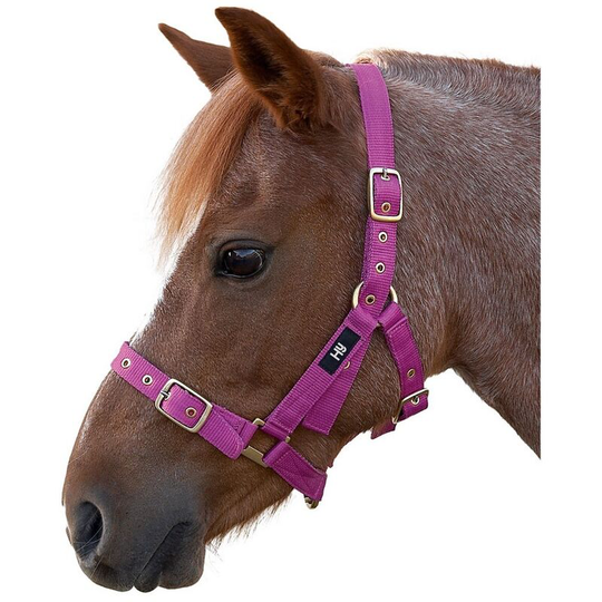 Holly Fully Adjustable Head Collar (Full) (Pink) - Pink - HY