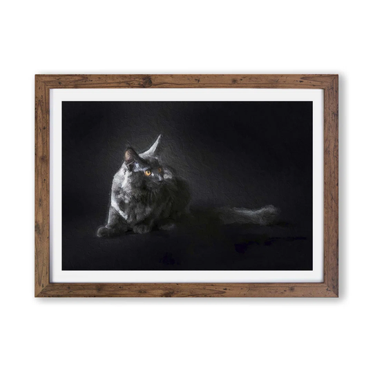 'Maine Coon Kitten' - Picture Frame Painting Print on Paper