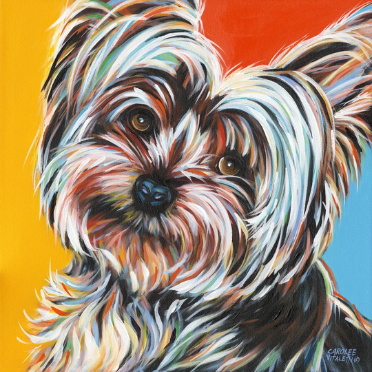 Sweet Yorkie II by Carolee Vitaletti - Wrapped Canvas Art Prints
