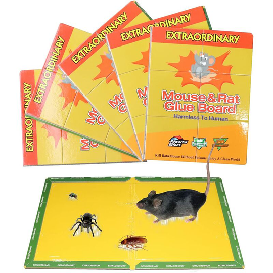Perle Rare - Professional mouse trap, mouse trap, rodent and rodent control super adhesive panel, 5 pcs fast rodent control sticky panel