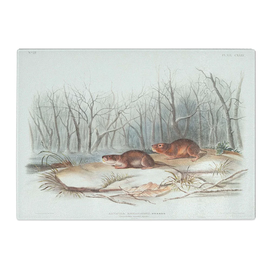 Tempered Glass Meadow Mouse by J.W. Audubon Chopping Board
