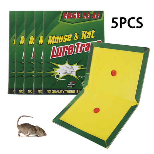 5PCS Mouse Trap Sticky Board for Rat & Mice Traps Per Pack Gel Baited