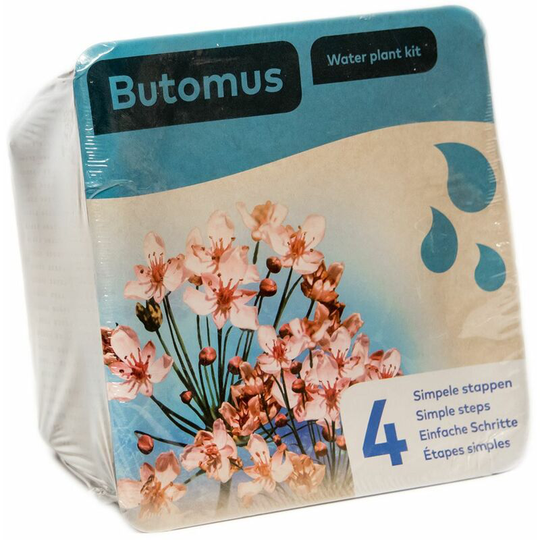Moerings - Complete Waterplants Pond Plant Kit - Butomus