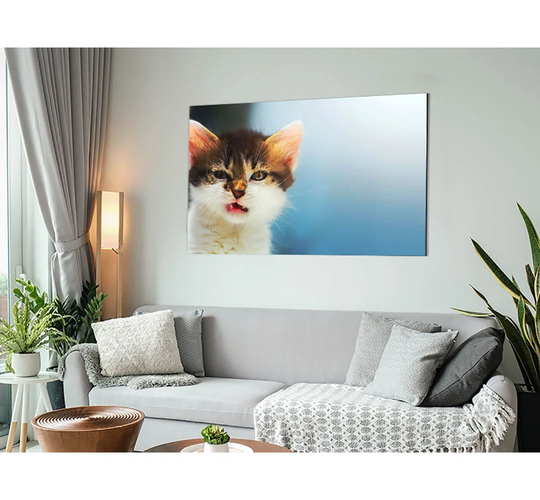 Kitten Cat Growl - Unframed Graphic Art on Metal