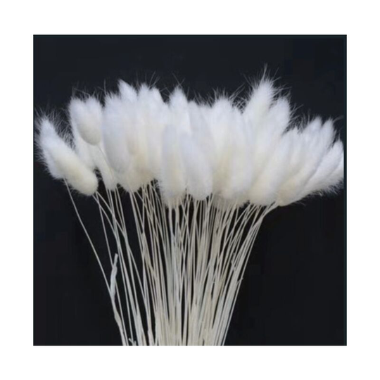 Betterlifegb - 60 Pcs Rabbit Tail Natural Dried Flower Artificial Plant Bouquet, Dried Rabbit Tail Bouquet, Dried Natural Flowers, Floral Decoration
